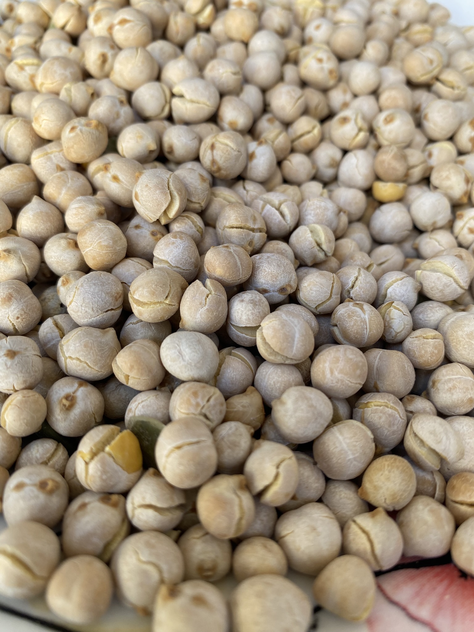 حمص لذيذ ومغذّي حمص لذيذ ومغذّي