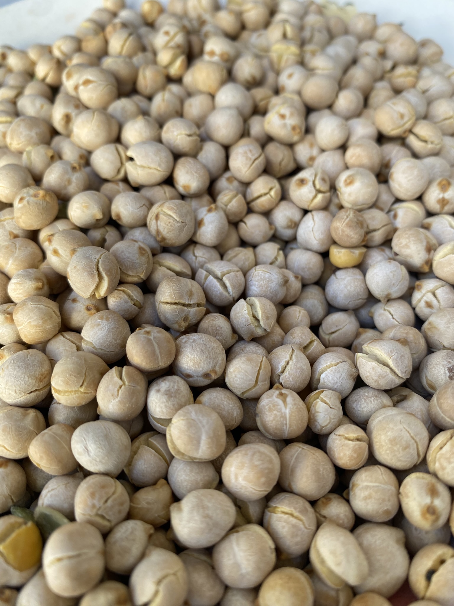 حمص لذيذ ومغذّي حمص لذيذ ومغذّي