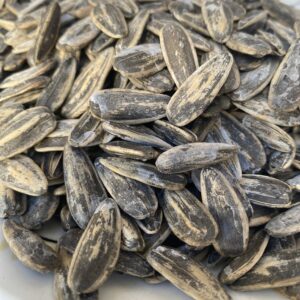 زريعة سوداء مشرطّة ✨